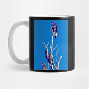 Yellow Tail Black Cockatoos on a Tree! Mug